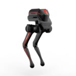 LimX Dynamics TRON 1